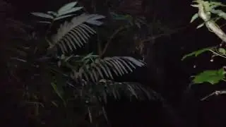 LIVE MISTERI MALAM JUMAT