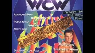 WCW Christmas Brawl Album - 06. We're The Boys