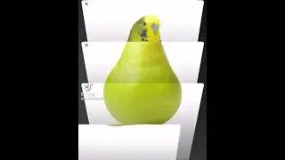 Birb pear