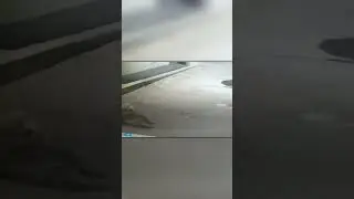 Волки Против Кангала
