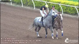 🔥Cascabel 🆚 2 Vicios🔥 Fresno Hipodromo, SIN.🍅