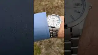 The Citizen AQ4100-65W