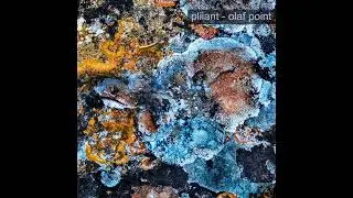 Pliiant - olsen
