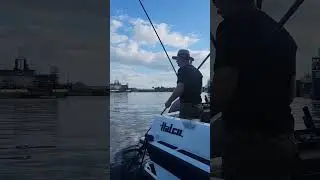 Перед троллингом#Лещ#Поплавок#Рыбалка#Мах#fishing #троллинг