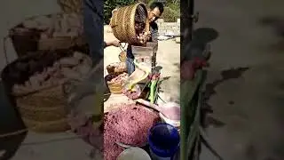 cassava crusher sweet potato grinder