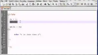 11  If and Elseif Statement (Section PHP & MySQL)