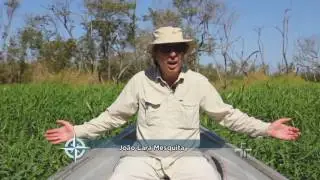 Riscos ao Lagamar Iguape-Cananéia-Paranaguá