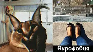 Твоя фобия это: