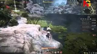 Black Desert  Прокачка персонажа Гайд по игре