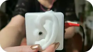 {ASMR} Most Tingly Ear Massage | Sounds Only/No Talking
