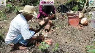 Taller presencial de peritaje SAFS