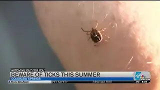 Beware of ticks this summer
