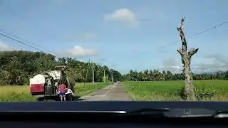 FROM MAGPET TO ALEGRIA TRAVEL
