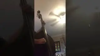 Phish - Dirt - upright bass