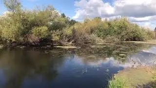 Богданович.В гостях.Уральская природа.город Богданович.Bogdanovich 