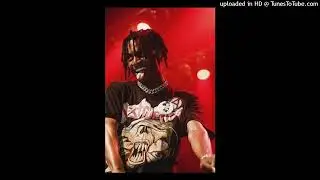 (FREE) Playboi Carti Type Beat 2024 - 