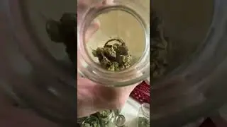 Multiple strains of head stash