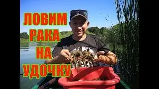 Ловля Рака на поплавочную удочку