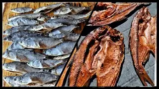 ВКУС ЭТОЙ ВЯЛЕНОЙ РЫБЫ - БОМБА!!! Вяленая и вялено-копчёная вимба(сырть, рыбец) Так делаю Я. VladTV