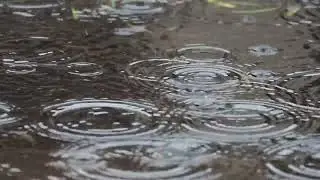 The Best Rain Music to Listen to Right Now