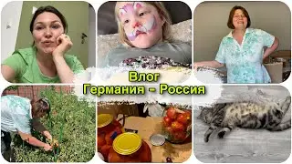 Наигрались и выбросили 😢 что делают ночью молодые мамы ? 😅 влог из Германии и России