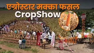 मक्याच्या उच्च उत्पादनासाठी नवीनतम Maize seed । Maize Crop Show Highlights । AgroStar