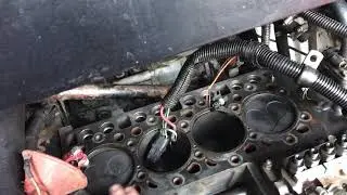 KUBOTA v2203 engine overheating, diagnostics, symptoms, Bobcat repair.(breakdown of the gasket)