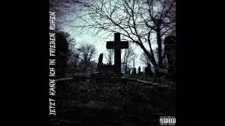 BATWINGS (official audio)