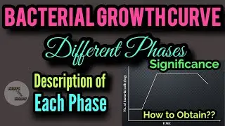 BACTERIAL GROWTH CURVE || DIFFERENT PHASES OF BACTERIAL GROWTH CURVE || SIMPLIFIED