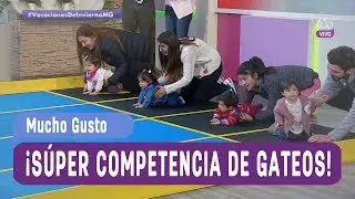 ¡Súper competencia de gateos! - Mucho Gusto 2017