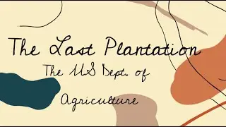 The USDA: The Last Plantation