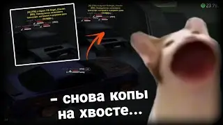 АРИЗОНА РОЛЕ ПЛЕЙ УДИВЛЯЕТ