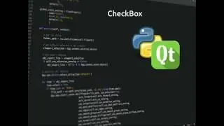 PyQt5 Lesson 9 CheckBox