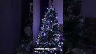 🎄✨✨
