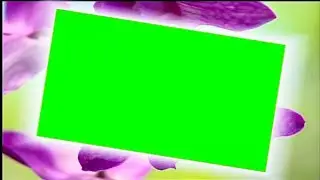 Doli leke Aaye hain dulhan Song Project | Wedding Green Screen Effects