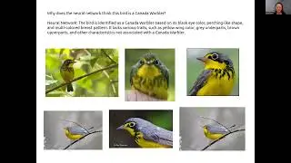 Language-Explainable Neural Networks via Knowledge Distillation and Feature Extraction | Pony Zhang