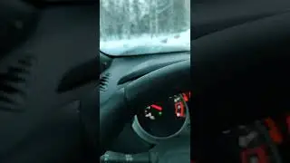 бедный мишка((