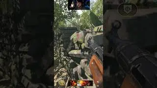 TEAM WIPE - CALDERA WARZONE SHORT