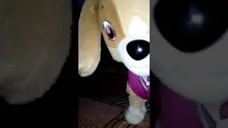 КИРА