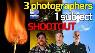 Three Photographers, one Subject - Who is best? Dandelion Indoor Photography Challenge