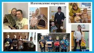 Птичья столовая