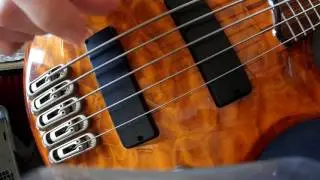 Kingdom Anathema Bass Cover
