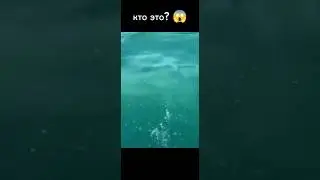 кто это 