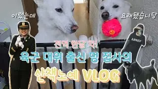 [광고]육군 대위 출신 멍 집사! 전역 한달 후 산책노예로서의 삶  VLOG | 진돗개 진주, 밀크 | 육군 대위 | 전역 한달 차 | 리브펫