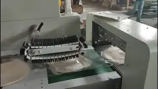 051.55.800DSF Ротаційна пакувальна машина флоу-пак з верхньою подачею плівки на серводвигунах