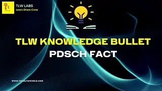 LTE-5G FACT_PDSCH Facts_008 