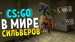 А кто такие сильверы,большой,большой секрет