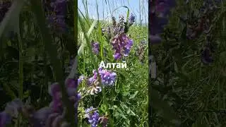 27 июня 2024 г.
