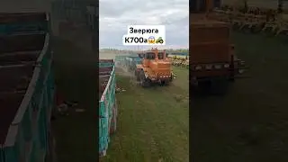 Уборка 2024🚜 к700а🚜 