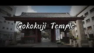 Gokokuji Temple Tokyo Japan 🎥 Cinematic Video 4K